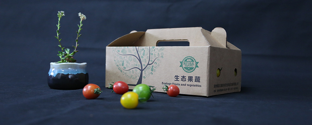 彩运网(中国)官方网站
